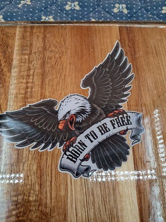 Born To Be Free Home Wall Art Decor