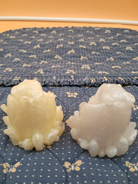 Baby Dragon Hatching