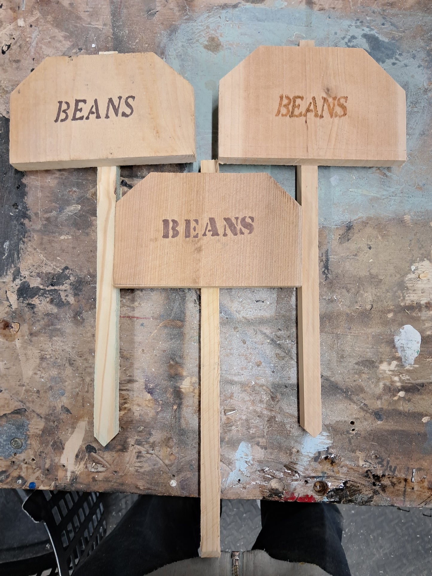 Cedar Garden sign fruit vegetable melon markers