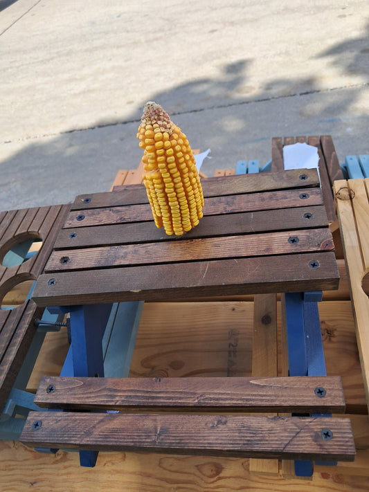 Picnic Table Squirrel feeder